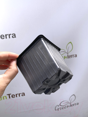 Набор горшков для рассады GreenTerra 9x9x8см (100шт)