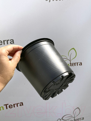 Набор горшков для рассады GreenTerra 15x13.5см (1.8л, 100шт)