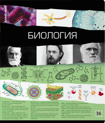 Изображение товара Тетрадь предметная Erich Krause Timeline Биология / 60652 (36л, клетка)