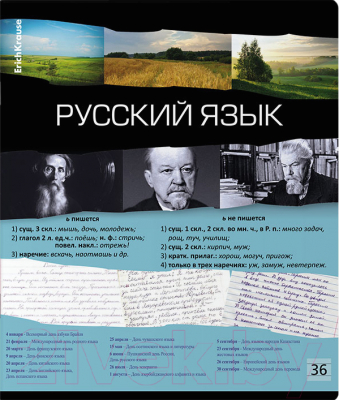 Тетрадь предметная Erich Krause Timeline Русский язык / 59504 (36л, линейка)