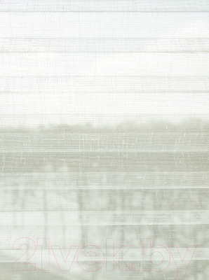 Изображение товара Штора-плиссе Delfa Walnut СПШ-3402/3504 Plain Transparent (81x160, кремовый/белый)