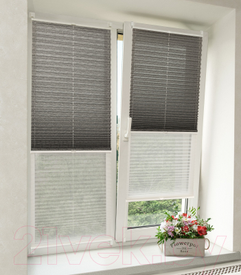 Изображение товара Штора-плиссе Delfa Walnut СПШ-3401/3504 Plain Transparent (81x160, антрацит/белый)