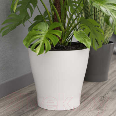 Изображение товара Кашпо Альтернатива Лея / М8858 (белый, с автополивом)