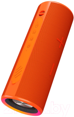 Портативная акустика SoundMax SM-PS5024B (оранжевый)