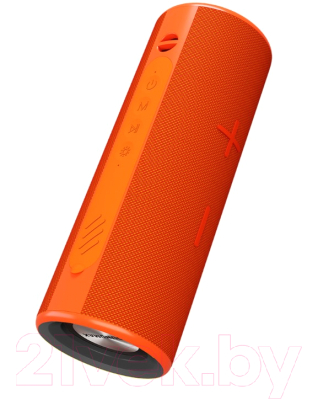 Портативная акустика SoundMax SM-PS5024B (оранжевый)
