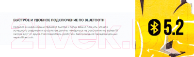 Портативная акустика SoundMax SM-PS5024B (оранжевый)