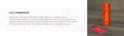 Портативная акустика SoundMax SM-PS5024B (оранжевый)