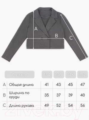 Пиджак детский Amarobaby Study Short / AB-OD24-SS3002/11-134 (серый, р.134)