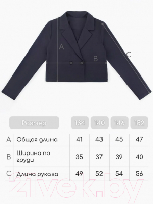 Пиджак детский Amarobaby Study Short / AB-OD24-SS3002/20-140 (синий, р.140)