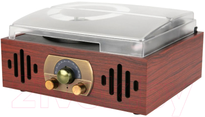 Проигрыватель виниловых пластинок Alive Audio Quattro LP Wood / AA-QTR-01-WD