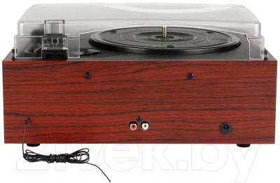 Проигрыватель виниловых пластинок Alive Audio Quattro LP Wood / AA-QTR-01-WD