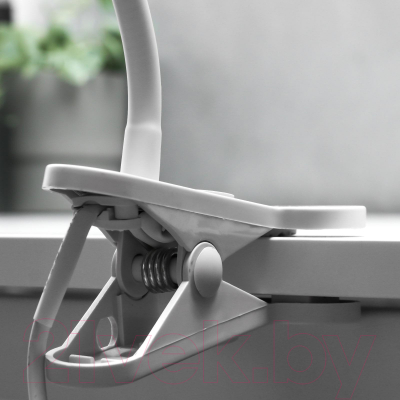 Изображение товара Настольная лампа Risalux 16700/1WT / 6940373 (белый)