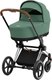 Детская универсальная коляска Cybex Priam IV 2 в 1  (рама Chrome Brown/Leaf Green) - 