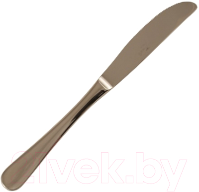 Столовый нож Pinti Inox Pitagora 08100019