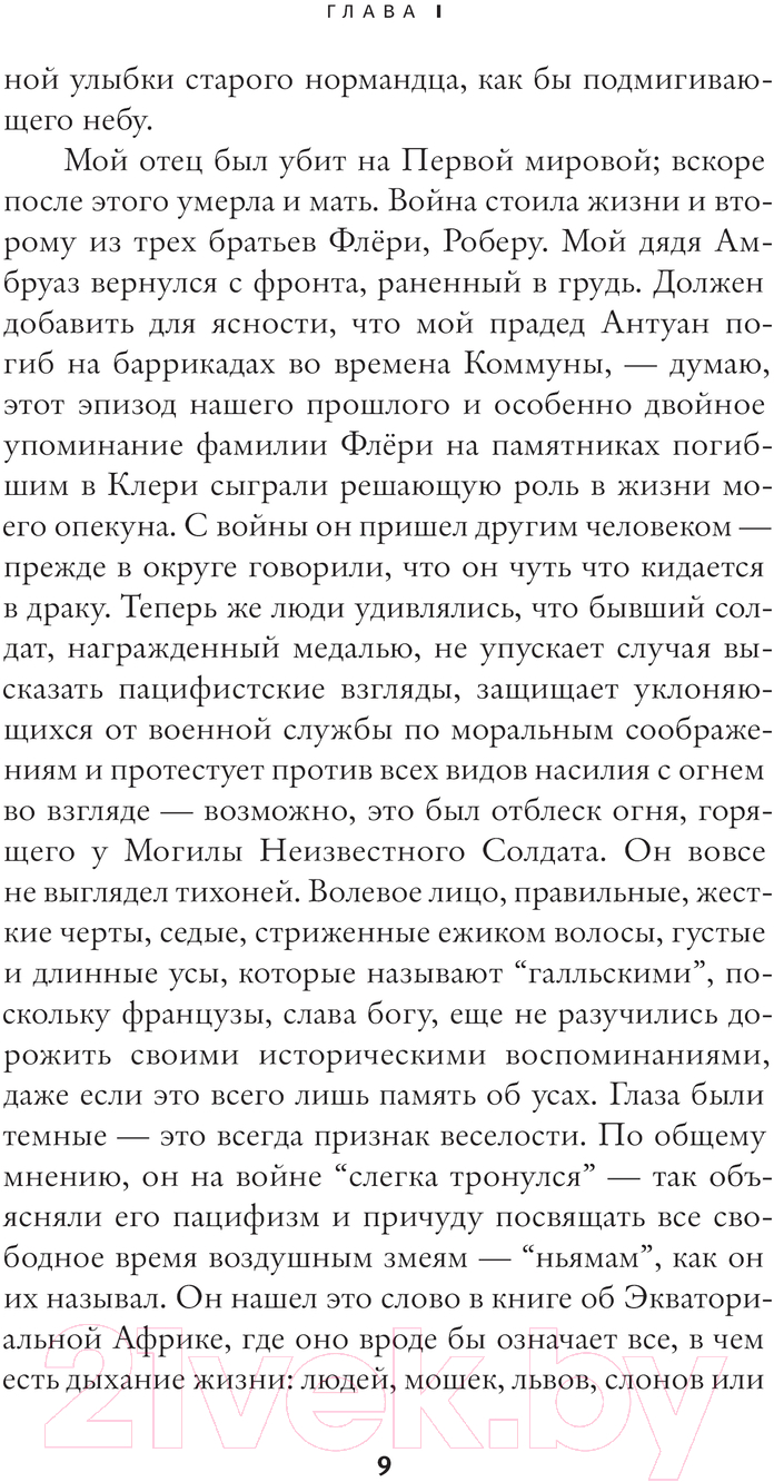 Художественная книга АСТ Воздушные змеи твердая обложка (Гари Ромен) — фото 4