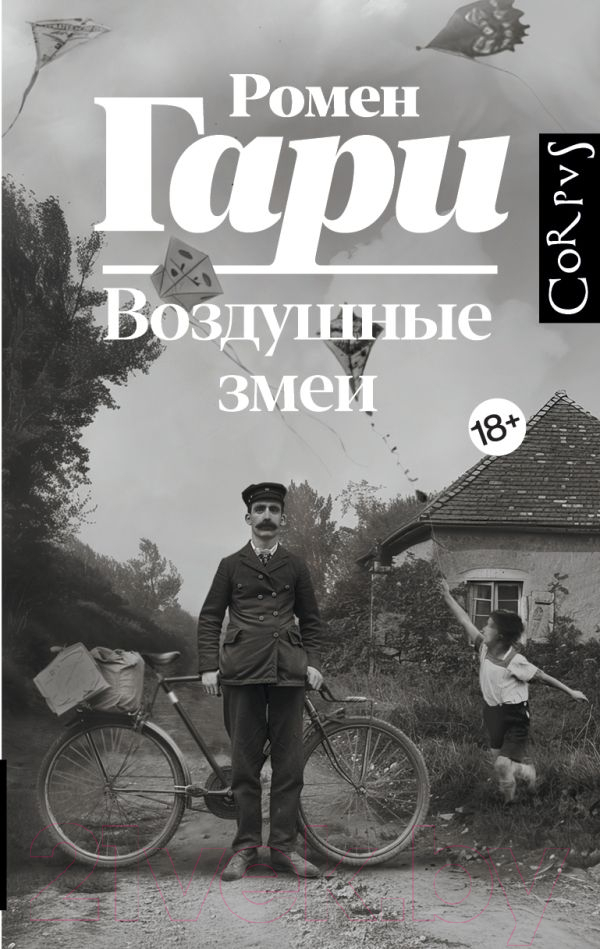 Художественная книга АСТ Воздушные змеи твердая обложка (Гари Ромен)