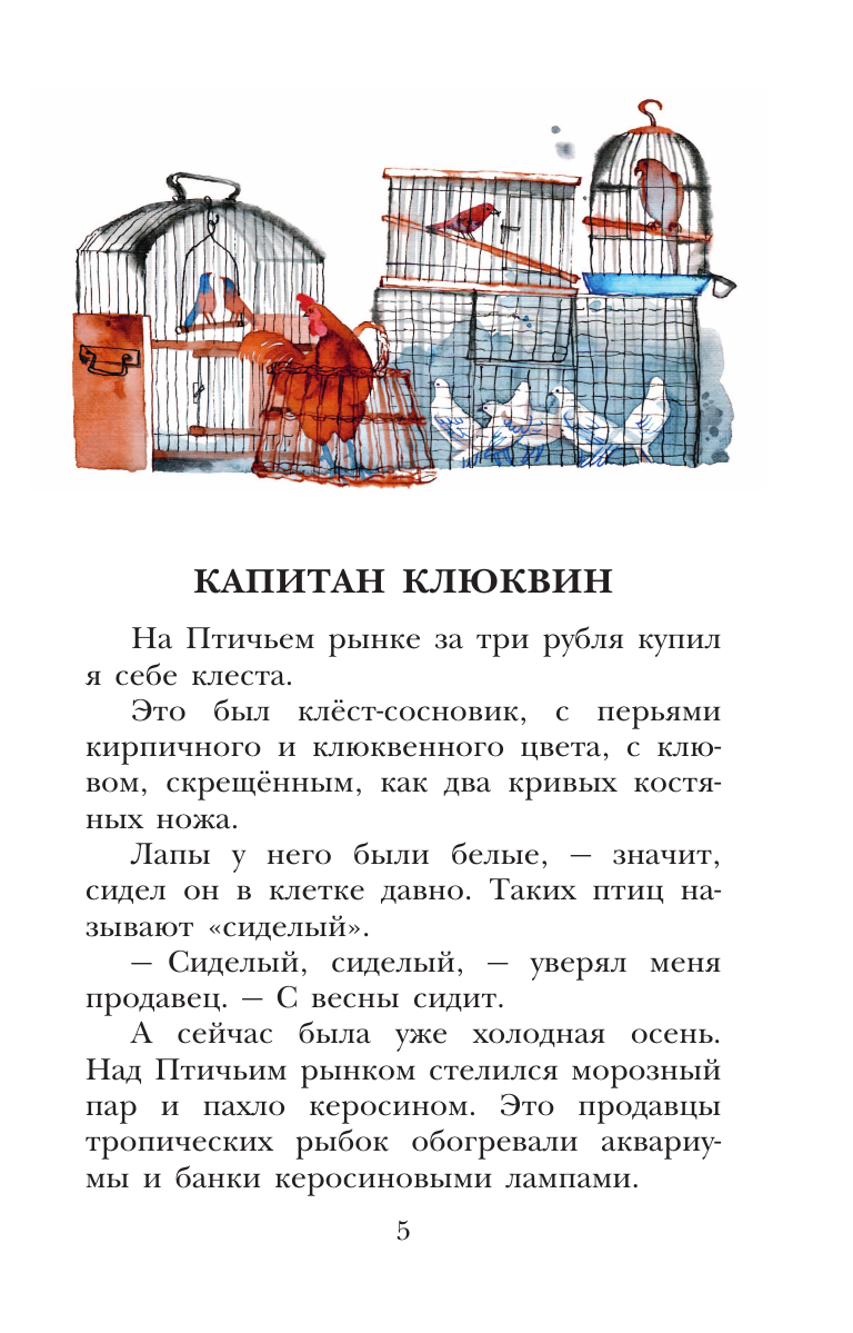 Художественная книга АСТ Капитан Клюквин, твердая обложка (Коваль Юрий) — фото 6