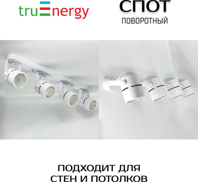 Спот Truenergy 21359