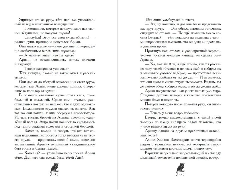 Художественная книга Эксмо Завеса Аркена твердая обложка (Хольцапфель Фальк) — фото 5