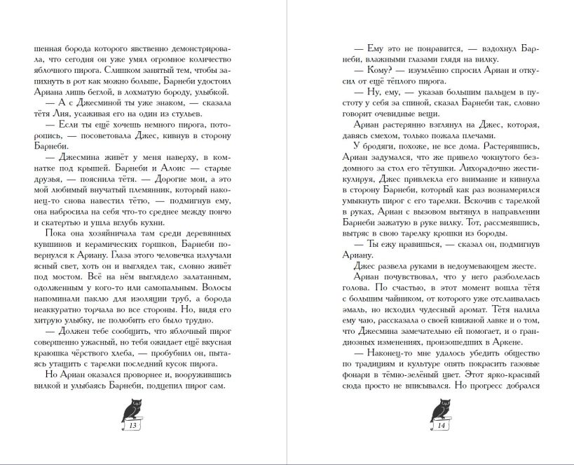 Художественная книга Эксмо Завеса Аркена твердая обложка (Хольцапфель Фальк) — фото 6