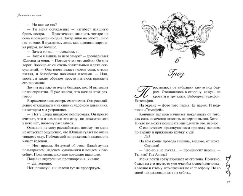 Художественная книга FreeDom Зажигая пламя, твердая обложка (Сорока Кира) — фото 6