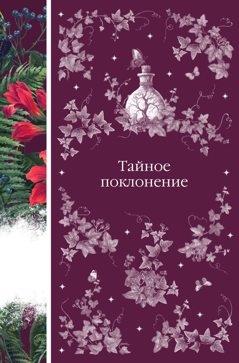 Художественная книга Эксмо Тайное поклонение твердая обложка (Вашингтон Ирвинг и др.) — фото 1