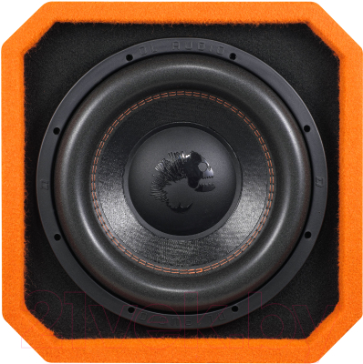 Изображение товара Корпусной активный сабвуфер DL Audio Piranha 12A TWIN