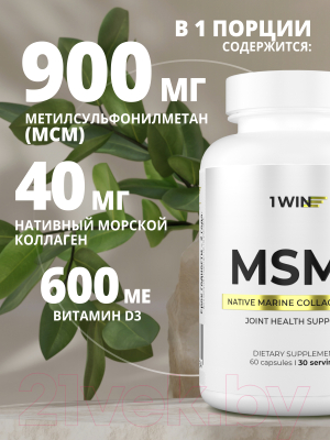 Комплексная пищевая добавка 1WIN Метилсульфонилметан+ (60 капсул, 30 порций)