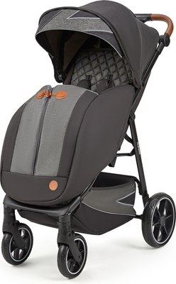 Детская прогулочная коляска Babyhit Esperto Black / AS140 (черный)