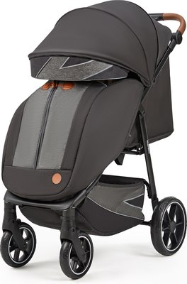 Детская прогулочная коляска Babyhit Esperto Black / AS140 (черный)