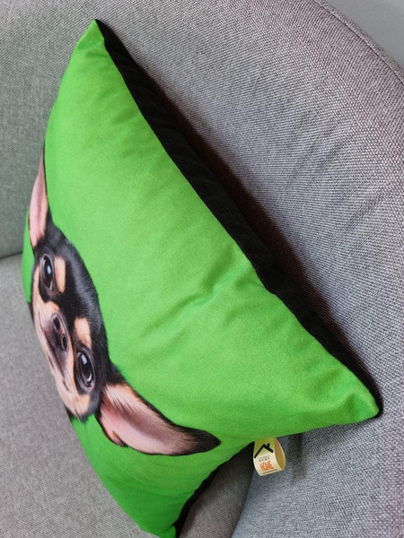 Изображение товара Подушка декоративная MATEX Fantasy Animals. Чих / 58-861 (зеленый/коричневый)