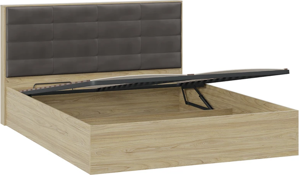 Купить Двуспальная кровать ТриЯ Агата тип 1 с ПМ 160x200 в Витебске