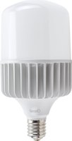 Лампа General Lighting GLDEN-HPL-100ВТ-230-E27-6500 / 694300 - 