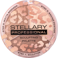 Палетка для скульптурирования Stellary Face sculptor тон 02 - 