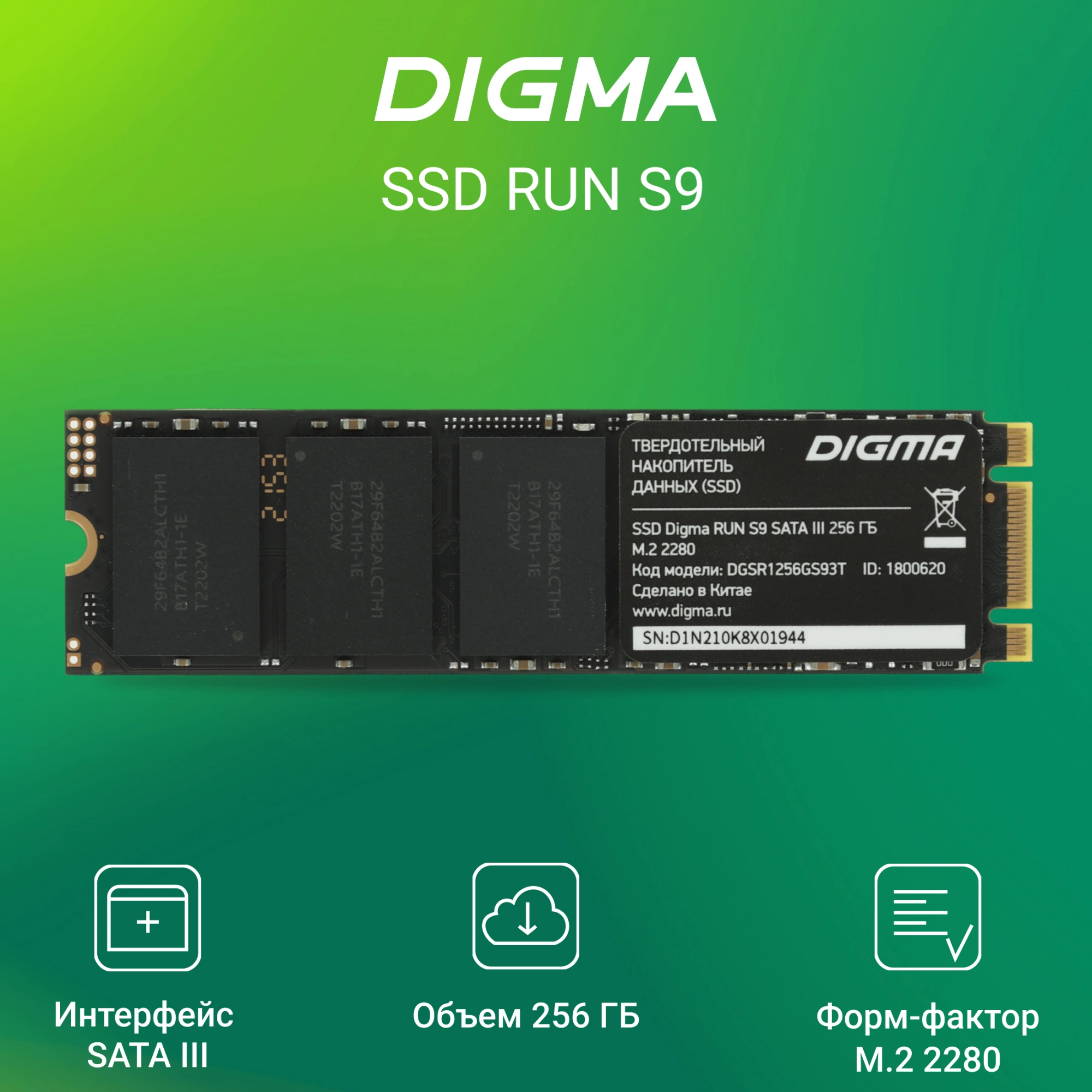 SSD диск Digma Run S9 M.2 2280 256GB DGSR1256GS93T