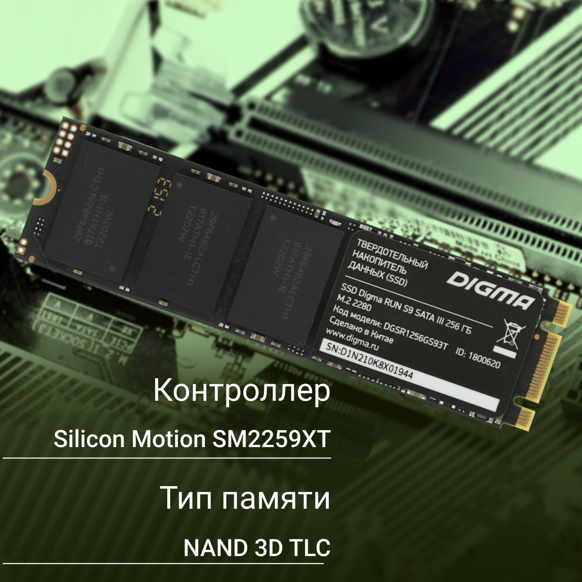 SSD диск Digma Run S9 M.2 2280 256GB DGSR1256GS93T