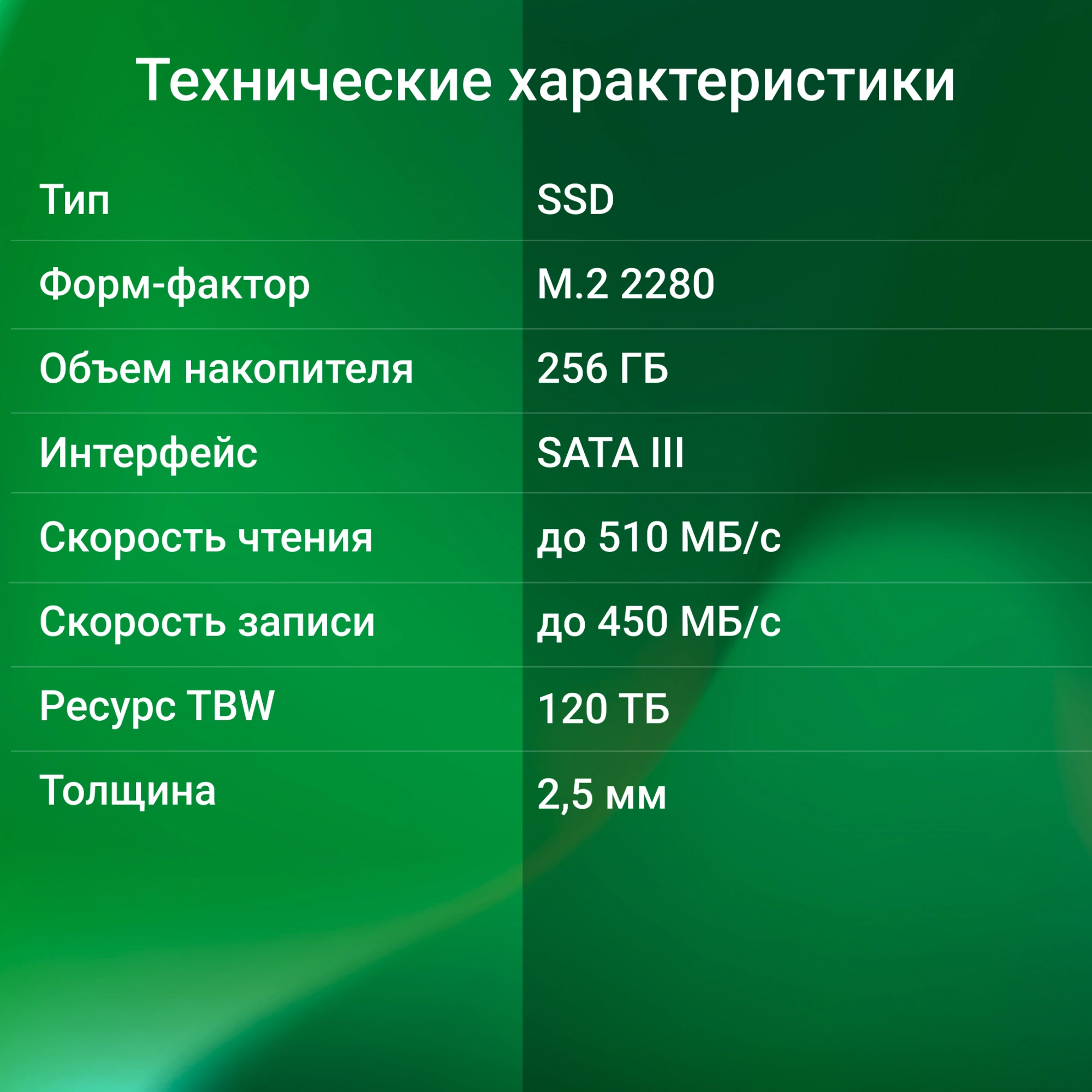 SSD диск Digma Run S9 M.2 2280 256GB DGSR1256GS93T