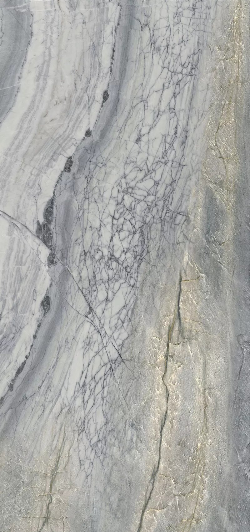 Плитка Meissen Elemento 17544 (600x1200, многоцветный) — фото 2