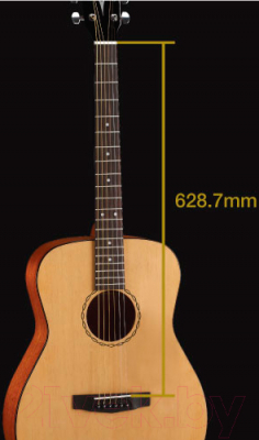 Акустическая гитара Cort AF 505 OP