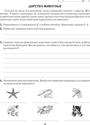 Рабочая тетрадь Аверсэв Биология. 8 класс. 2024, мягкая обложка (Лисов Николай)