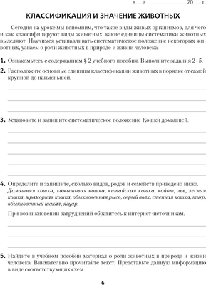 Рабочая тетрадь Аверсэв Биология. 8 класс. 2024, мягкая обложка (Лисов Николай)