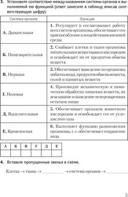 Рабочая тетрадь Аверсэв Биология. 8 класс. 2024 мягкая обложка (Бедарик Ирина, Бедарик Александр)