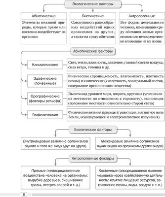 Учебное пособие Аверсэв Биология. 10 класс. 2024 мягкая обложка (Лисов Николай)