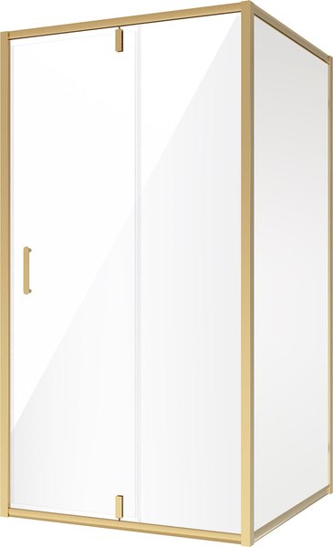 Душевой уголок Niagara NG-43-12AG-A80G 120x80x195