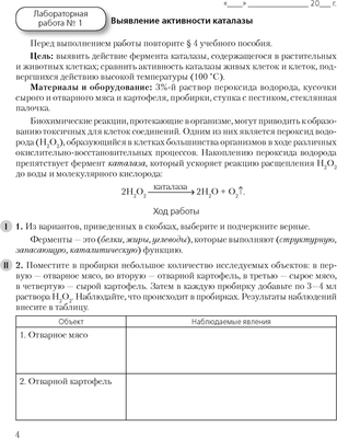 Рабочая тетрадь Аверсэв Биология. 11 класс. Базовый уровень 2024, мягкая обложка (Дашков Максим)