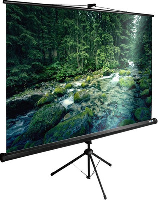 Проекционный экран Cactus CS-PSTE-220X165-BK