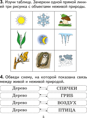 Рабочая тетрадь Аверсэв Человек и мир. 2 класс. Практикум. 2024, мягкая обложка (Трафимова Галина)