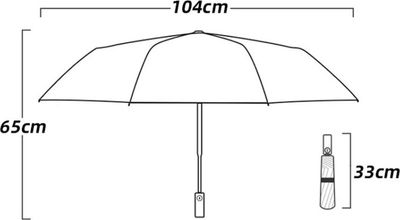 Зонт складной DoubleW TBD0603801001C 