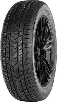 

Зимняя шина, SureGrip eWinter 205/50R17 93V