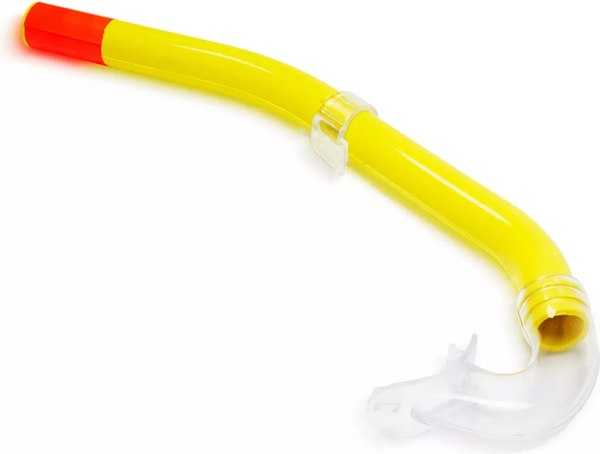 Трубка для плавания Salvas Fizzy Snorkel DA137T0GTSTS (L, желтый)